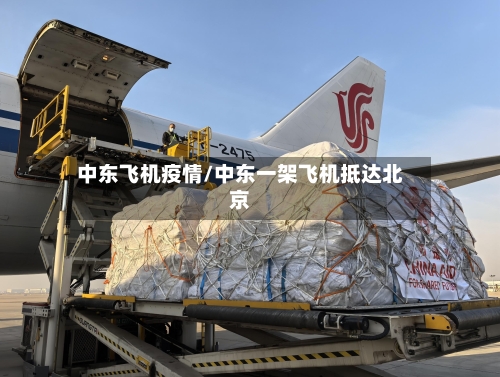 中东飞机疫情/中东一架飞机抵达北京-第2张图片